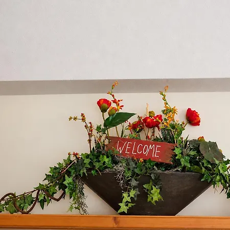 Apartmán Cozy Achenkirch